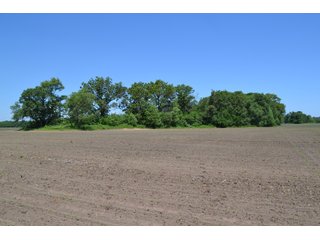 <b>PRICE REDUCED: $5,900 per acre</b><br>
This property offers productive tillable land along with two wooded areas.  Much of the larger woods near the road is on a ridge.  Investigate this area for a potential beautiful homesite as well as for hunting and recreational opportunities. <br>
<b>156.9+/- </b>Total Acres | <b>145.83+/-</b> Tillable Cropland Acres per FSA | <b>10+/-</b> Wooded Acres - 156.9+/- Acres For Sale - Cropland, Woods for Hunting/Recreational & Potential Building Sites